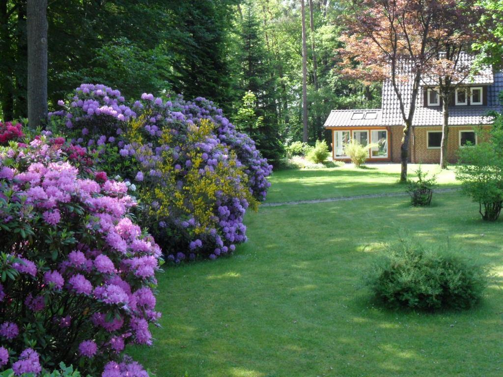 Ferienwohnungen / Ferienhaus Wahlers Bispingen Exteriör bild