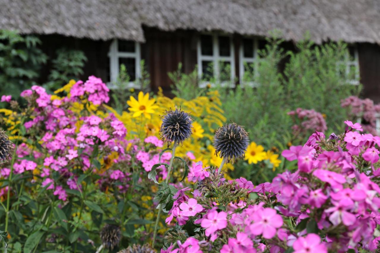 Ferienwohnungen / Ferienhaus Wahlers Bispingen Exteriör bild